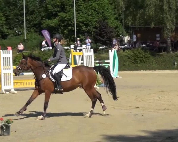 Sommerturnier Lohmar-Hausdorp 2015
