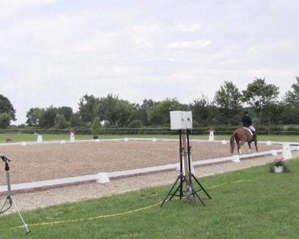 Großes Sommerturnier in Hille 2015