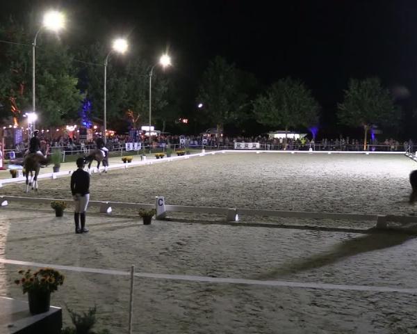 Reitturnier Ascheberg - PV-Jugend-Turnier 2026