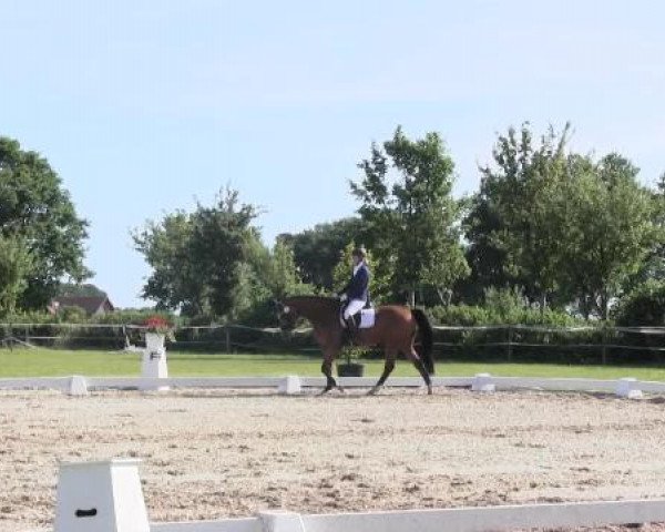 Großes Sommerturnier in Hille 2015