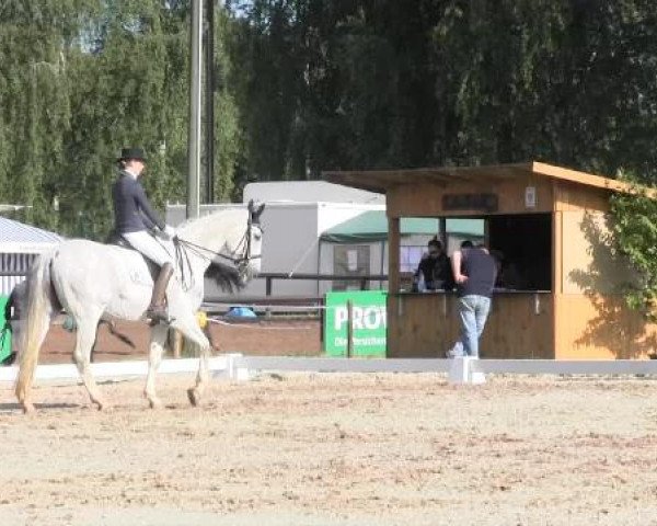 Großes Sommerturnier in Hille 2015