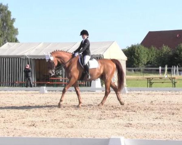 Großes Sommerturnier in Hille 2015