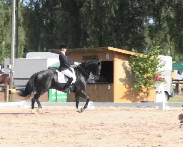 Großes Sommerturnier in Hille 2015