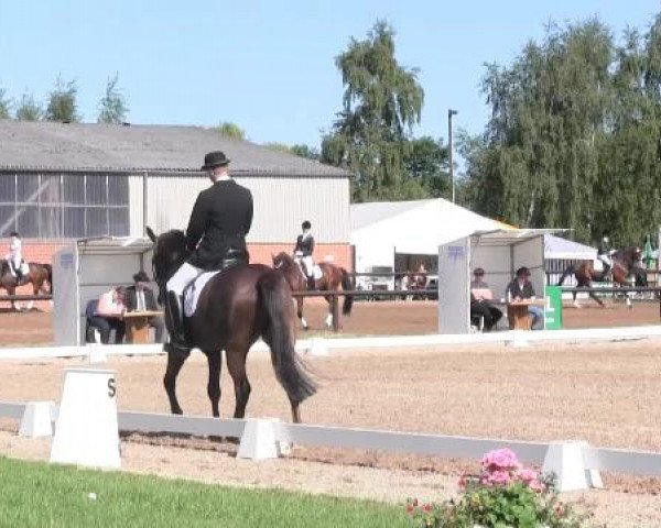 Großes Sommerturnier in Hille 2015