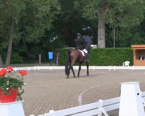 Großes Sommerturnier in Hille 2015