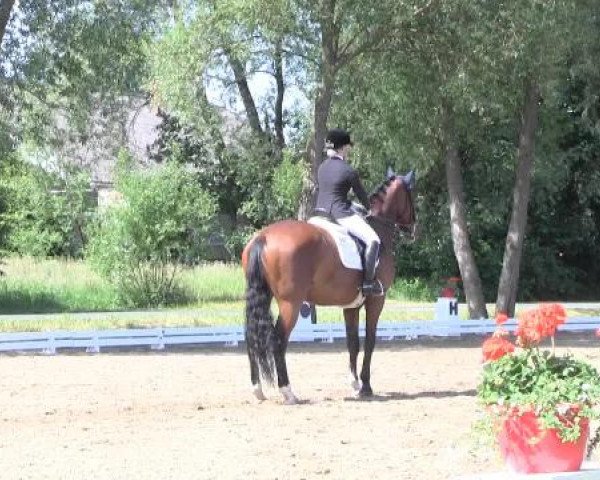Großes Sommerturnier in Hille 2015