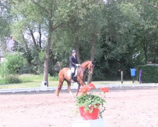 Großes Sommerturnier in Hille 2015