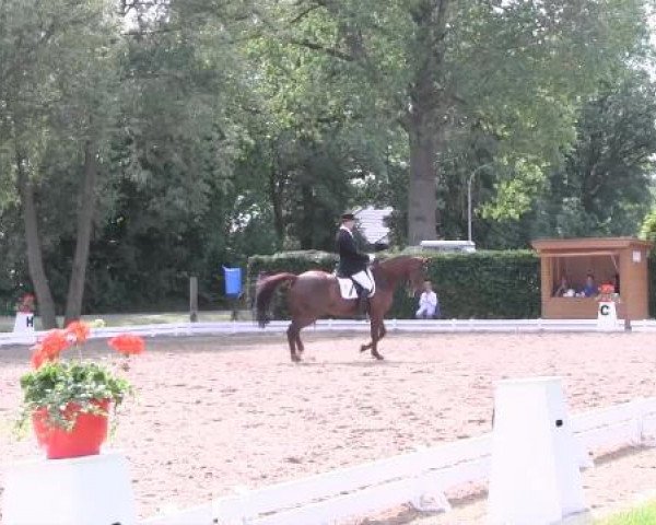 Großes Sommerturnier in Hille 2015