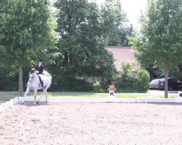 Großes Sommerturnier in Hille 2015