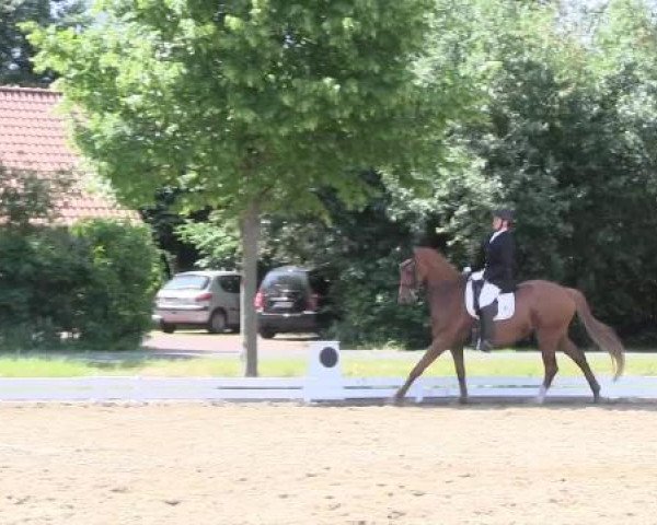 Großes Sommerturnier in Hille 2015