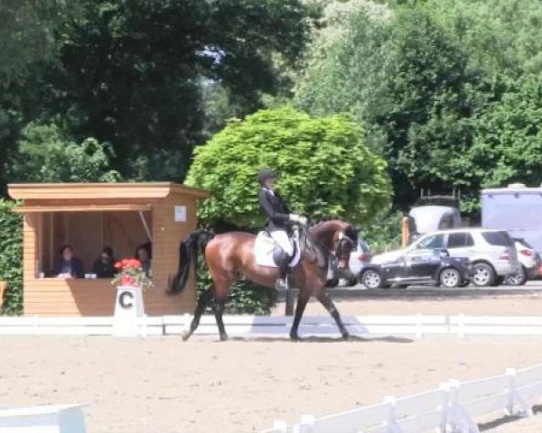 Großes Sommerturnier in Hille 2015