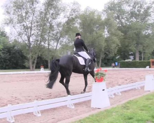 Großes Sommerturnier in Hille 2015