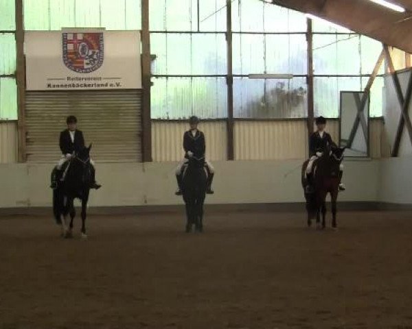 Höhr-Grenzhausen 2015