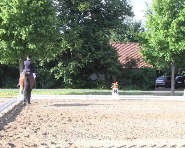 Großes Sommerturnier in Hille 2015