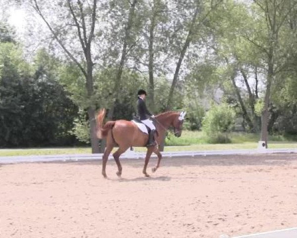 Großes Sommerturnier in Hille 2015