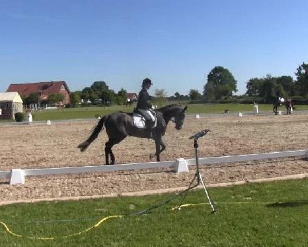 Großes Sommerturnier in Hille 2015