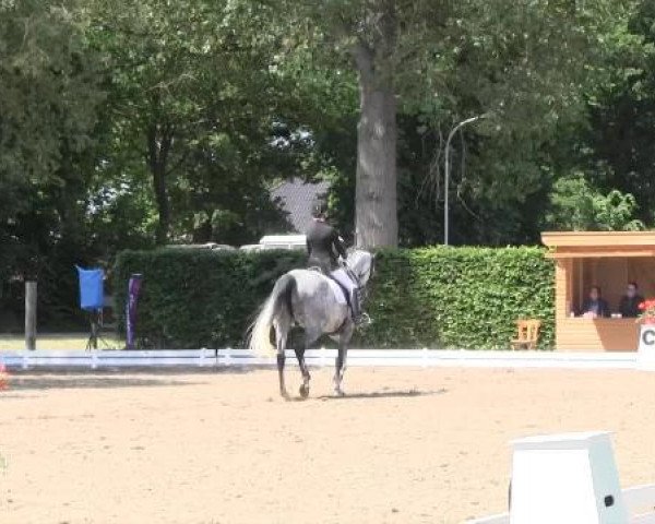 Großes Sommerturnier in Hille 2015