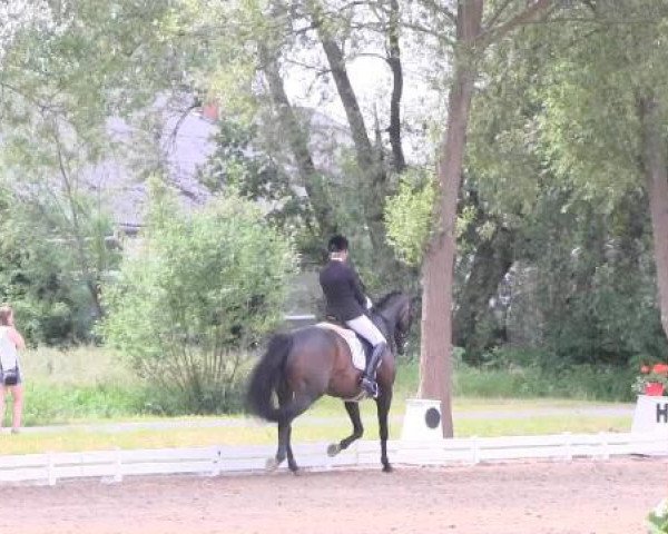 Großes Sommerturnier in Hille 2015