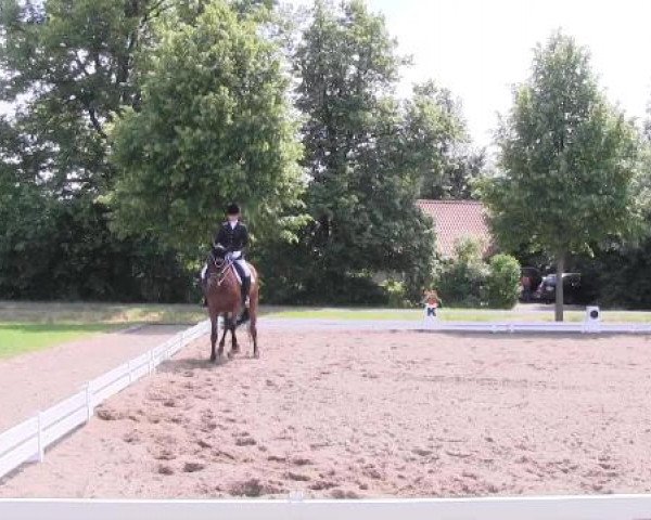 Großes Sommerturnier in Hille 2015