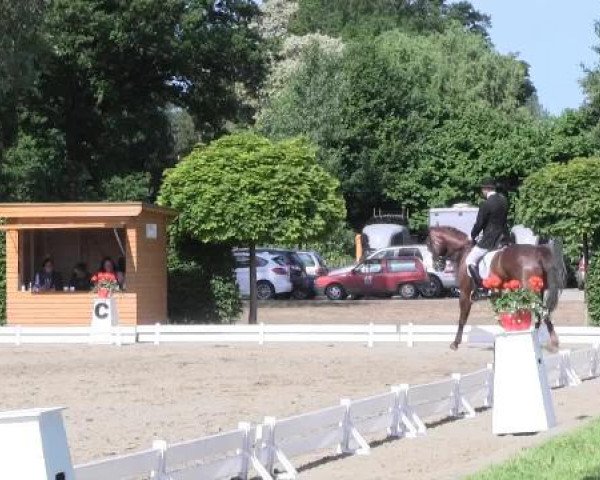 Großes Sommerturnier in Hille 2015