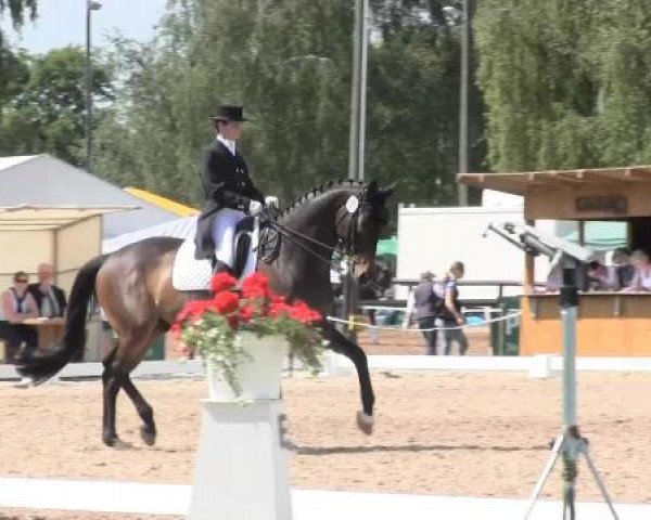 Großes Sommerturnier in Hille 2015