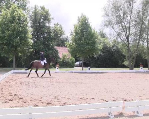 Großes Sommerturnier in Hille 2015