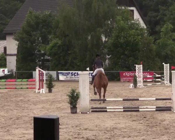 Höhr-Grenzhausen 2015
