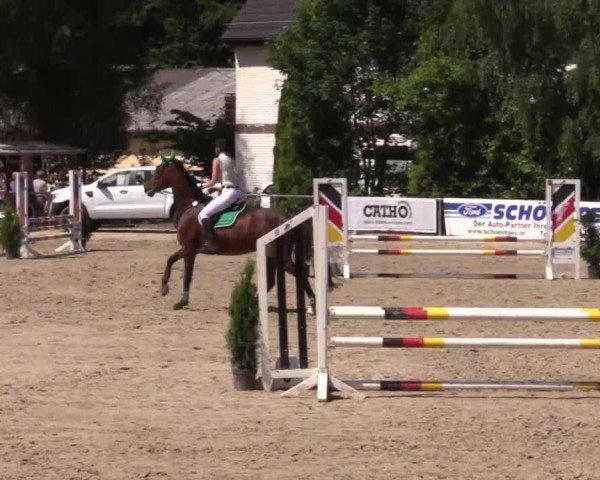 Höhr-Grenzhausen 2015