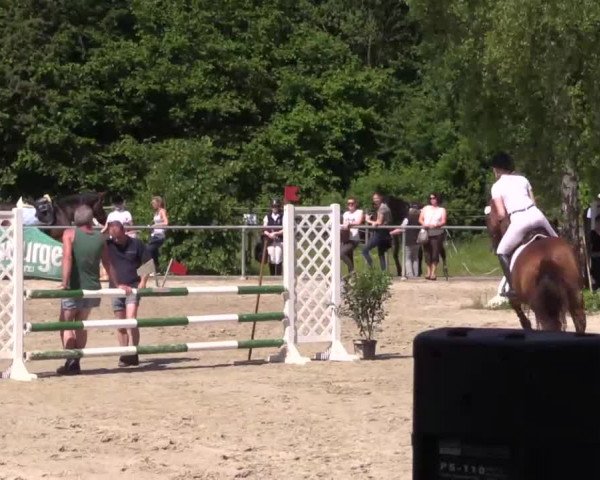Höhr-Grenzhausen 2015