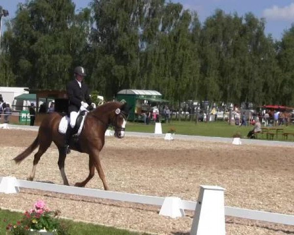 Großes Sommerturnier in Hille 2015