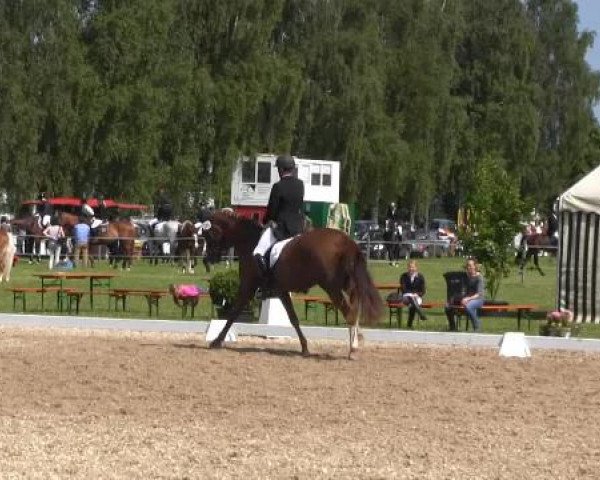 Großes Sommerturnier in Hille 2015