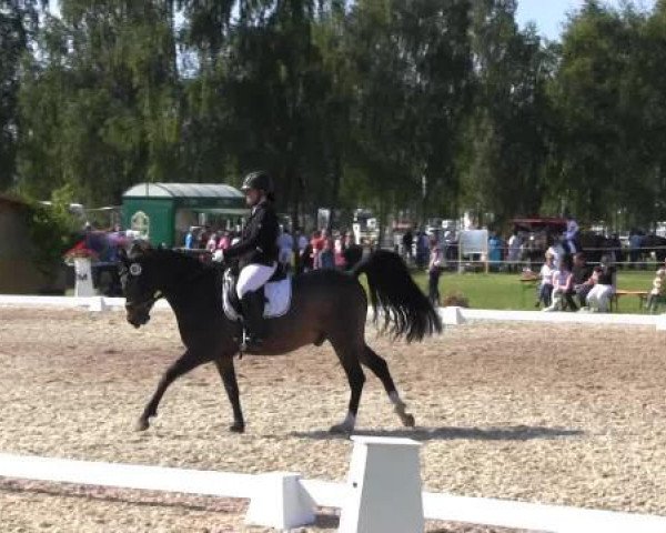 Großes Sommerturnier in Hille 2015