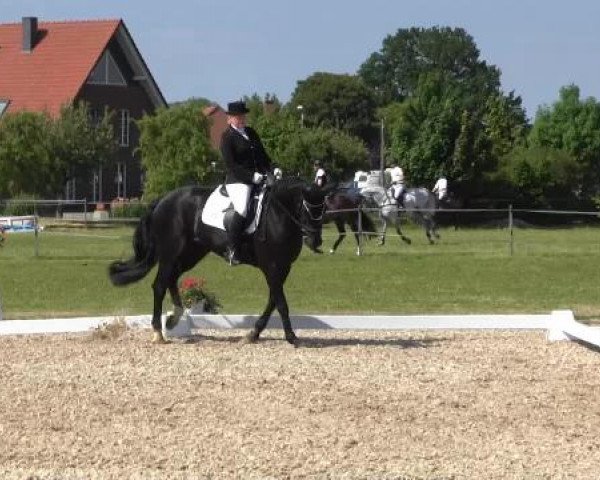 Großes Sommerturnier in Hille 2015