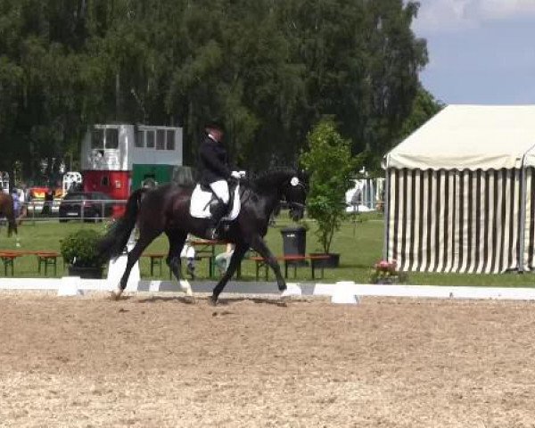 Großes Sommerturnier in Hille 2015