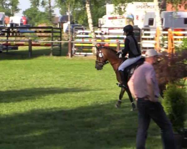 Großes Sommerturnier in Hille 2015