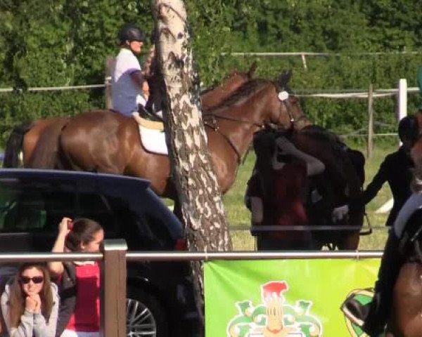 Großes Sommerturnier in Hille 2015