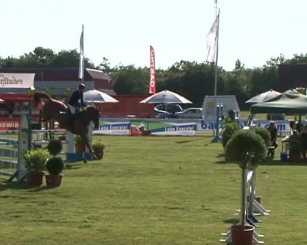 Nord-Ost-Pferd 2015