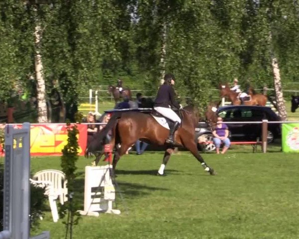 Großes Sommerturnier in Hille 2015