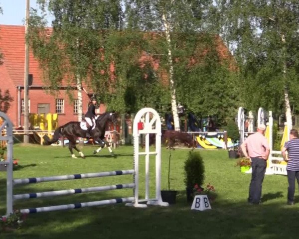 Großes Sommerturnier in Hille 2015