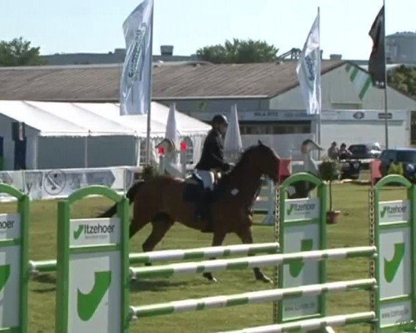 Nord-Ost-Pferd 2015
