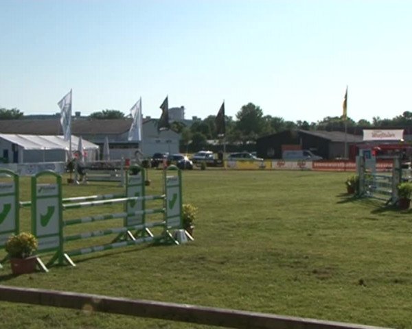 Nord-Ost-Pferd 2015