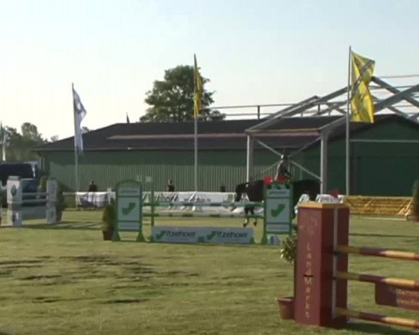 Nord-Ost-Pferd 2015