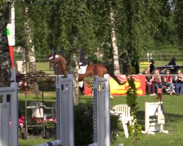 Großes Sommerturnier in Hille 2015