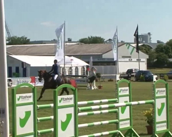 Nord-Ost-Pferd 2015