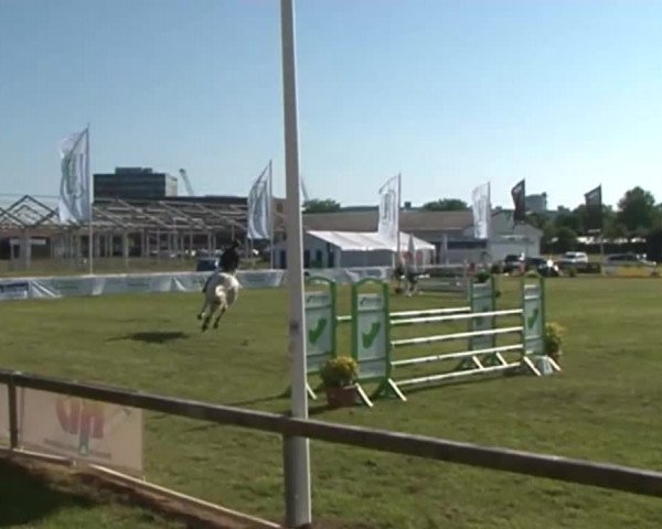 Nord-Ost-Pferd 2015