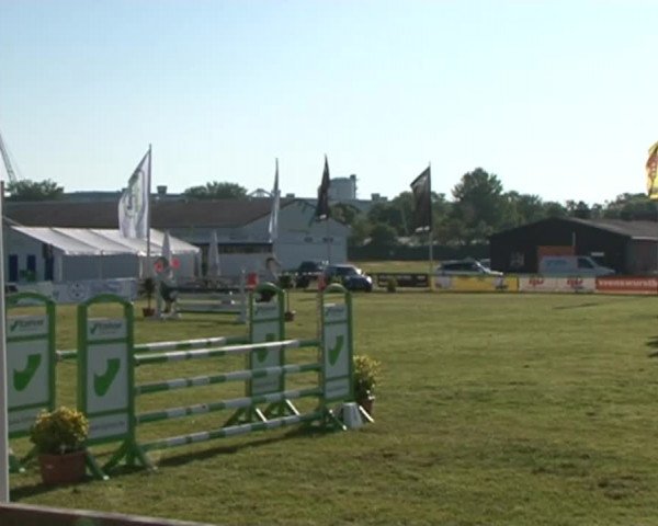 Nord-Ost-Pferd 2015