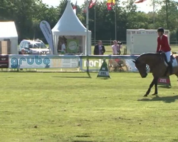 Nord-Ost-Pferd 2015