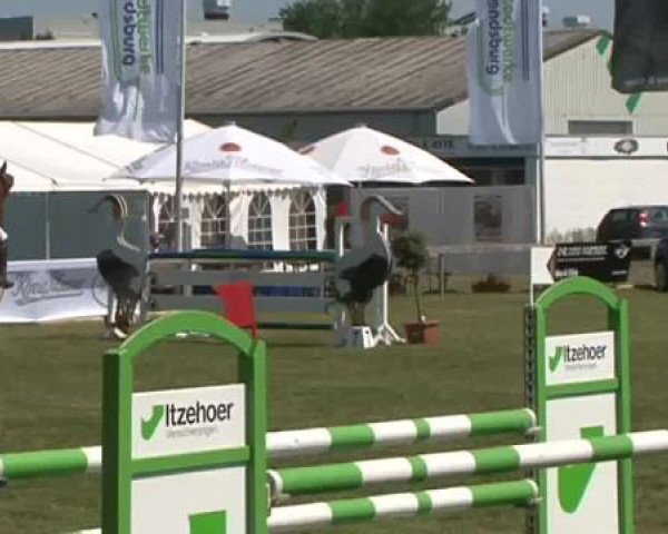 Nord-Ost-Pferd 2015