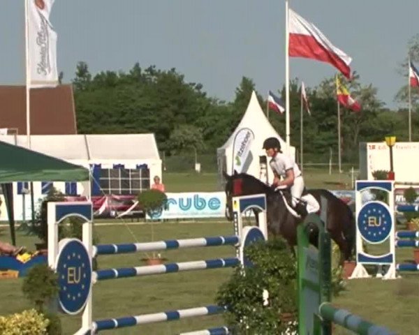 Nord-Ost-Pferd 2015