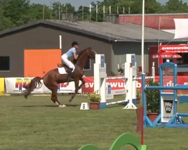 Nord-Ost-Pferd 2015
